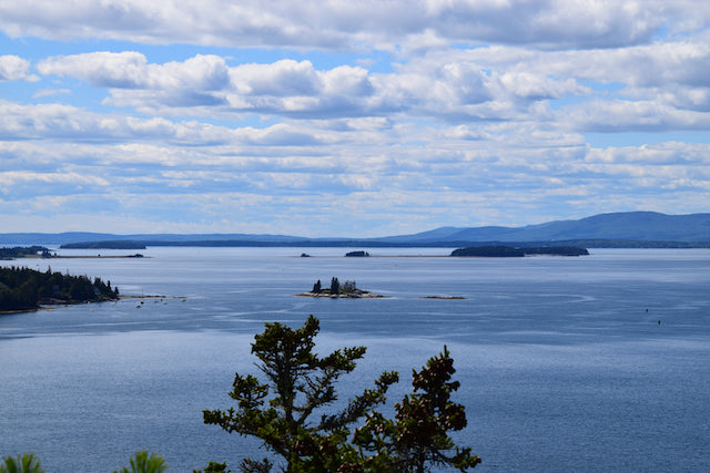 Our trip to Maine, August 2020