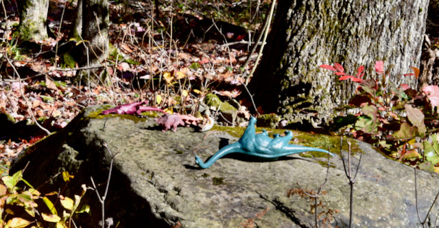 Haaswurth Books Discovers Dinosaur Remains in Broome County, New York