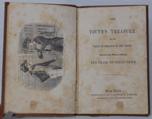Load image into Gallery viewer, The Youth&#39;s Treasure: or, the Value of Religion to the Young (1850) Methodist