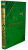 The Merry-Go-Round : Stories for Boys and Girls 1879 gorgeous binding