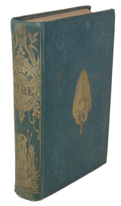 Ingraham. The Pillar of Fire: or, Israel in Bondage (1863)