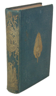 Ingraham. The Pillar of Fire: or, Israel in Bondage (1863)