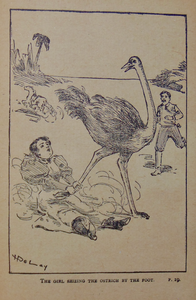 Simpson. A Yankee's Adventures in South Africa (1897)