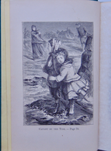 Load image into Gallery viewer, Little Canary&#39;s Daisy (The Little Canary Series) 1873