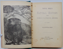 Load image into Gallery viewer, Young Folk&#39;s Natural History, with Numerous Illustrative Anecdotes (1887)