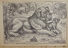 Young Folk's Natural History, with Numerous Illustrative Anecdotes (1887)