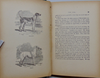 Young Folk's Natural History, with Numerous Illustrative Anecdotes (1887)