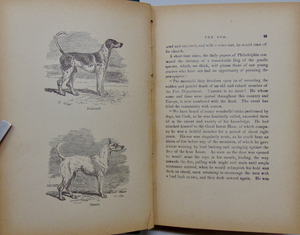 Young Folk's Natural History, with Numerous Illustrative Anecdotes (1887)
