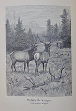 Load image into Gallery viewer, American Big-Game Hunting: The Book of the Boone and Crockett Club (1893)