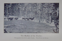 Load image into Gallery viewer, American Big-Game Hunting: The Book of the Boone and Crockett Club (1893)