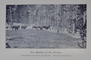 American Big-Game Hunting: The Book of the Boone and Crockett Club (1893)