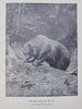 American Big-Game Hunting: The Book of the Boone and Crockett Club (1893)