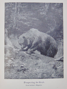 American Big-Game Hunting: The Book of the Boone and Crockett Club (1893)