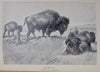 American Big-Game Hunting: The Book of the Boone and Crockett Club (1893)