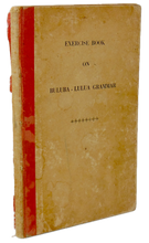 Load image into Gallery viewer, Exercise Book on Buluba-Lulua Grammar, RARE 1941 Missionary Press