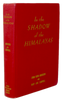 In the Shadow of the Himalayas : Presbyterian Missions Punjab, India 1855-1940