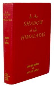 In the Shadow of the Himalayas : Presbyterian Missions Punjab, India 1855-1940