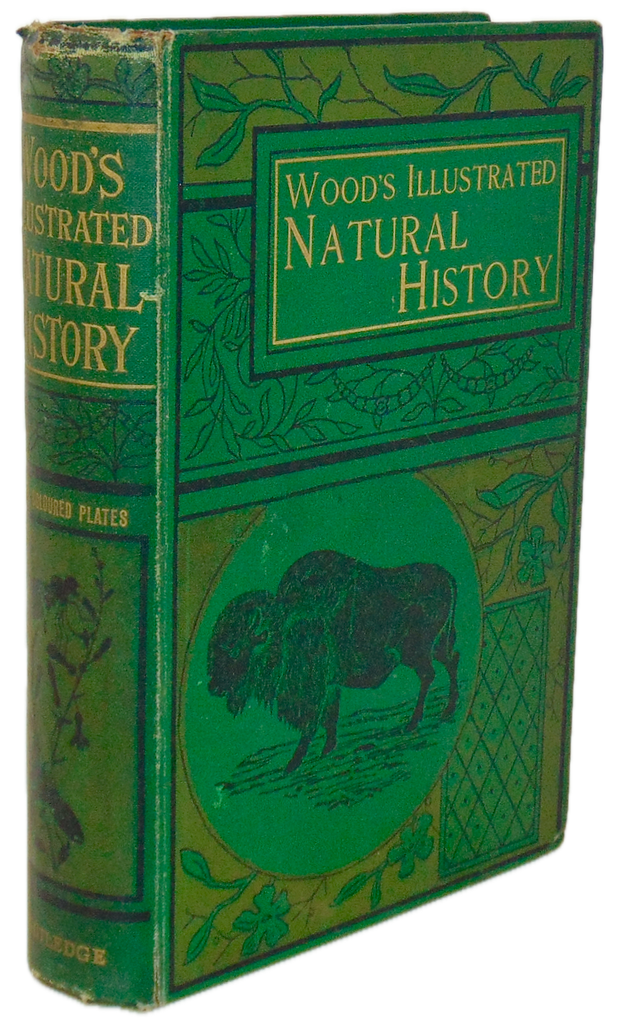 Natural History: with 480 Original illustrations of animals and birds