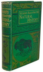 Natural History: with 480 Original illustrations of animals and birds