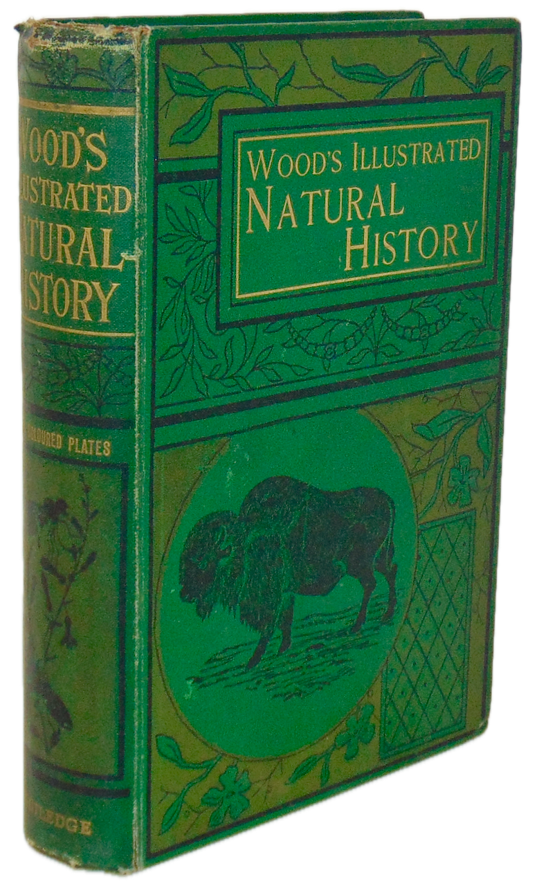 Natural History: with 480 Original illustrations of animals and birds