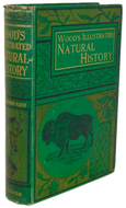 Natural History: with 480 Original illustrations of animals and birds