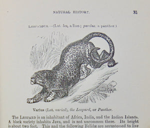 Natural History: with 480 Original illustrations of animals and birds