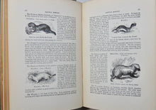 Load image into Gallery viewer, Natural History: with 480 Original illustrations of animals and birds