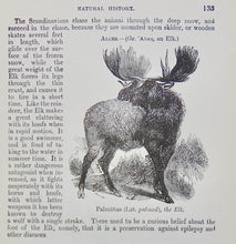 Load image into Gallery viewer, Natural History: with 480 Original illustrations of animals and birds