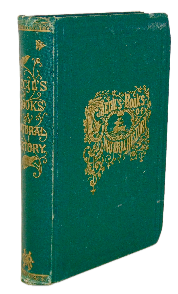 Cecil's Books of Natural History, Illustrated Beasts, Birds, Insects
