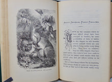 Load image into Gallery viewer, Cecil&#39;s Books of Natural History, Illustrated Beasts, Birds, Insects