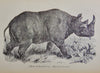 Cecil's Books of Natural History, Illustrated Beasts, Birds, Insects