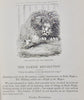 Thomas Hood.  Hood's Own ( 2 vol set) Comic Wit and Humour (1861)
