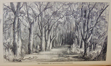 Load image into Gallery viewer, Life and Liberty in America: a Tour of the United States and Canada in 1857–58
