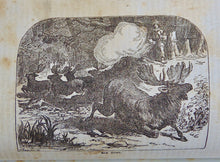 Load image into Gallery viewer, Prairie and Rocky Mountain Adventures of Life in the West (1866)