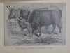 Across the Plains and Over the Divide, A Mule Train Journey East to West in 1862