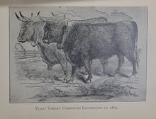 Load image into Gallery viewer, Across the Plains and Over the Divide, A Mule Train Journey East to West in 1862