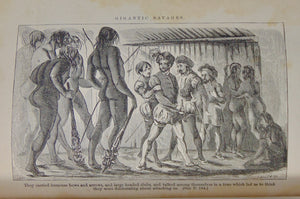 The Life and Voyages of Americus Vespucius, the Discovery of the New World