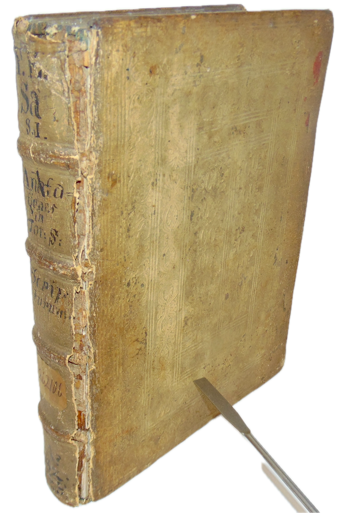 Manuel de Sá, 1610 Latin Commentary on the Bible