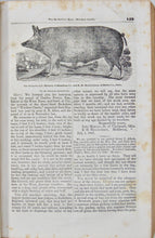 Load image into Gallery viewer, 1842-3 The American Agriculturalist, First American Illustrated Farm Journal