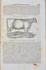 1842-3 The American Agriculturalist, First American Illustrated Farm Journal