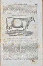 Load image into Gallery viewer, 1842-3 The American Agriculturalist, First American Illustrated Farm Journal