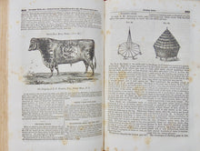 Load image into Gallery viewer, 1842-3 The American Agriculturalist, First American Illustrated Farm Journal