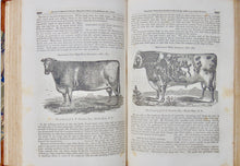 Load image into Gallery viewer, 1842-3 The American Agriculturalist, First American Illustrated Farm Journal