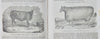 1842-3 The American Agriculturalist, First American Illustrated Farm Journal