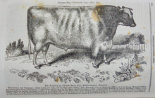 Load image into Gallery viewer, 1842-3 The American Agriculturalist, First American Illustrated Farm Journal