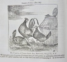 Load image into Gallery viewer, 1842-3 The American Agriculturalist, First American Illustrated Farm Journal