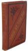 Room at the Top : or, How to reach Success, Happiness, Fame and Fortune (1880)