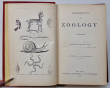 Load image into Gallery viewer, Elements of Zoology : A Text-Book. Illustrated by 750 Wood Engravings
