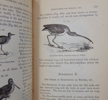 Load image into Gallery viewer, Elements of Zoology : A Text-Book. Illustrated by 750 Wood Engravings