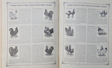 Load image into Gallery viewer, Hill's Album of Biography and Art,  Portraits and Pen-Sketches of Many Persons